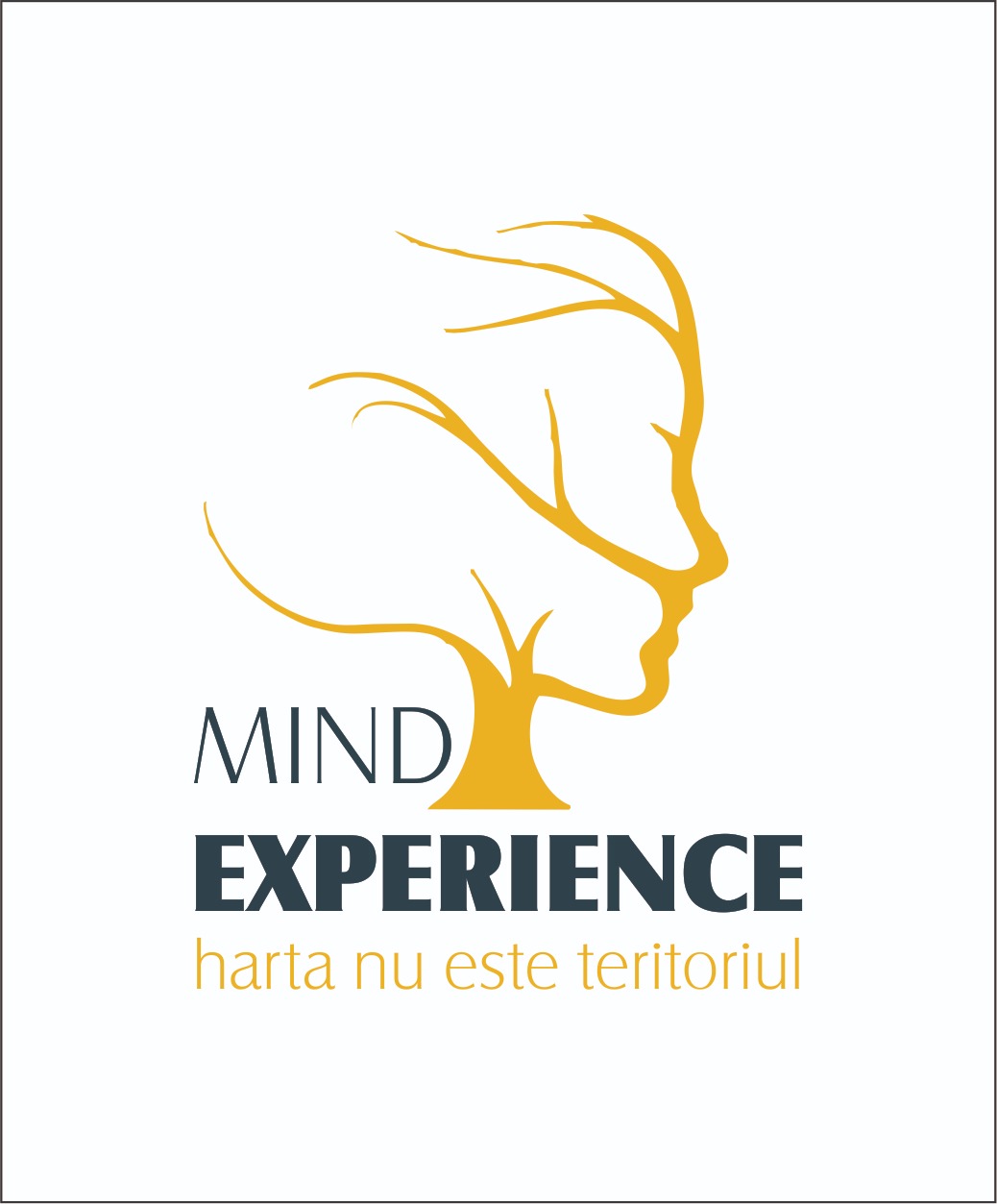 Mind Experience Clinica Psihogica Oana Purdel