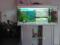 Cabinet Individual de Psihologie - Sima Narcis Constantin